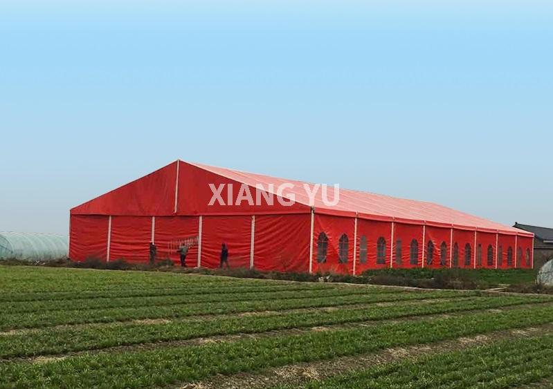 專(zhuān)業(yè)的婚慶篷房廠(chǎng)家-翔宇展覽